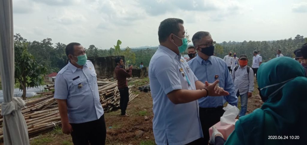 Penanaman Perdana Golden Melon, Soalnya Petani Kita Terkadang Suka Ikut Arus