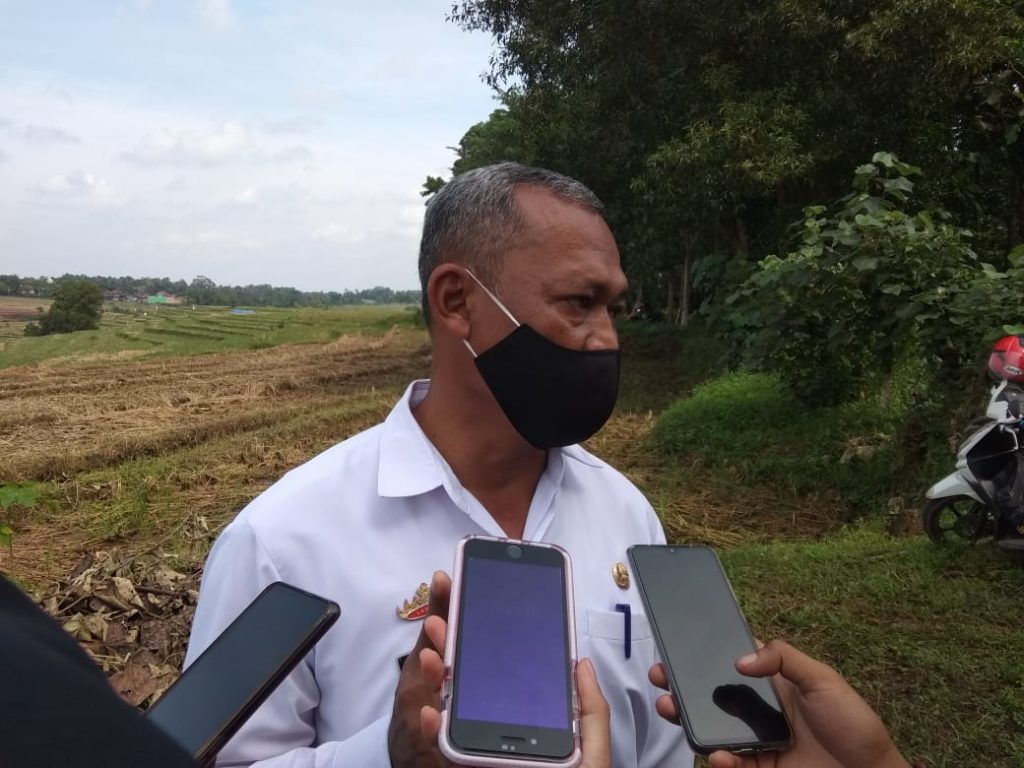 Dinas ketahanan Pangan, Pertanian dan Perikanan kota Metro bersama kelompok tani Laksana II laksanakan kegiatan tanam jagung jenis Hibrida Mk212 di kelurahan Rejomulyo