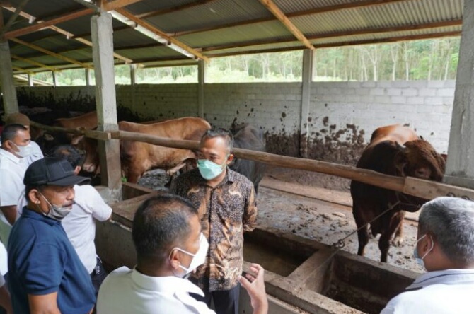 Pemkab TuBaBa Terima Kunjungan Kerja Pemkab Sarolangun