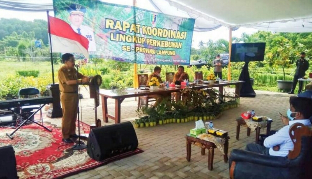 Pemerintah Provinsi Lampung Gelar Rapat Koordinasi Sektor Perkebunan