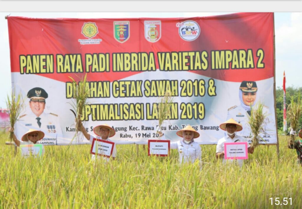 Pemprov Lampung Panen Padi Seluas 110 hektar di Kabupaten Tulang Bawang