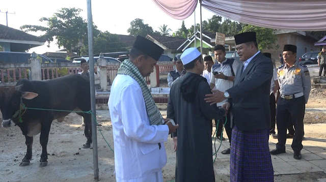 Hari Raya Qurban Musa Ahmad Serahkan Satu Ekor Sapi ke Warga Komring Putih